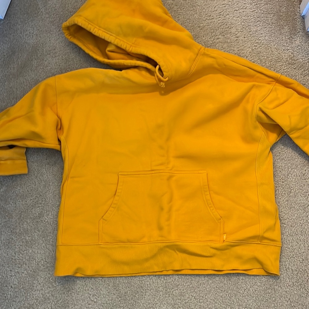 Aritizia ex boyfriend hoodie old sizing 2